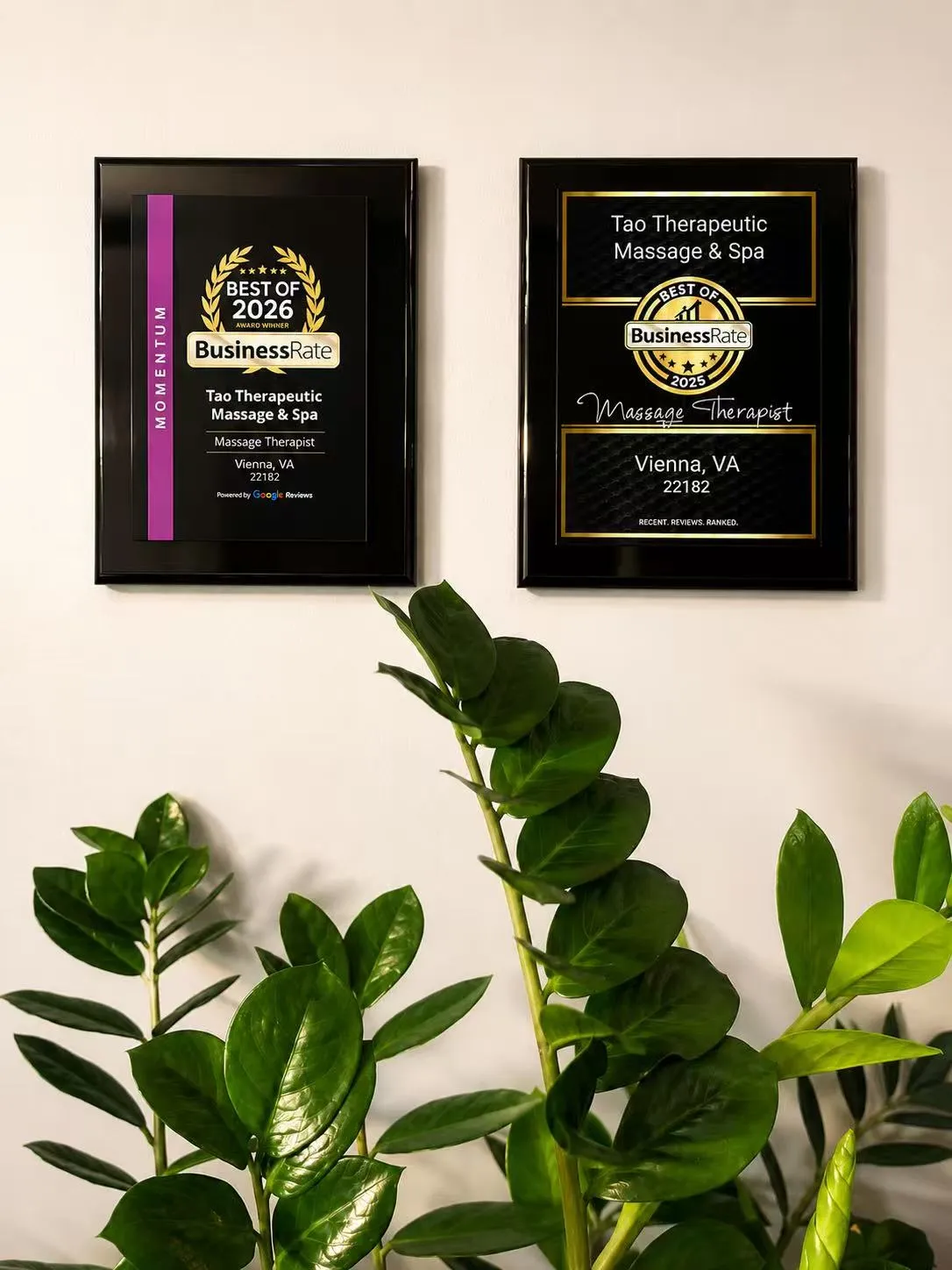 Two BusinessRate Best of 2025 and Best of 2026 award plaques for TAO Therapeutic Massage & Spa, Massage Therapist in Vienna, VA 22182, mounted on the spa wall above a leafy green plant